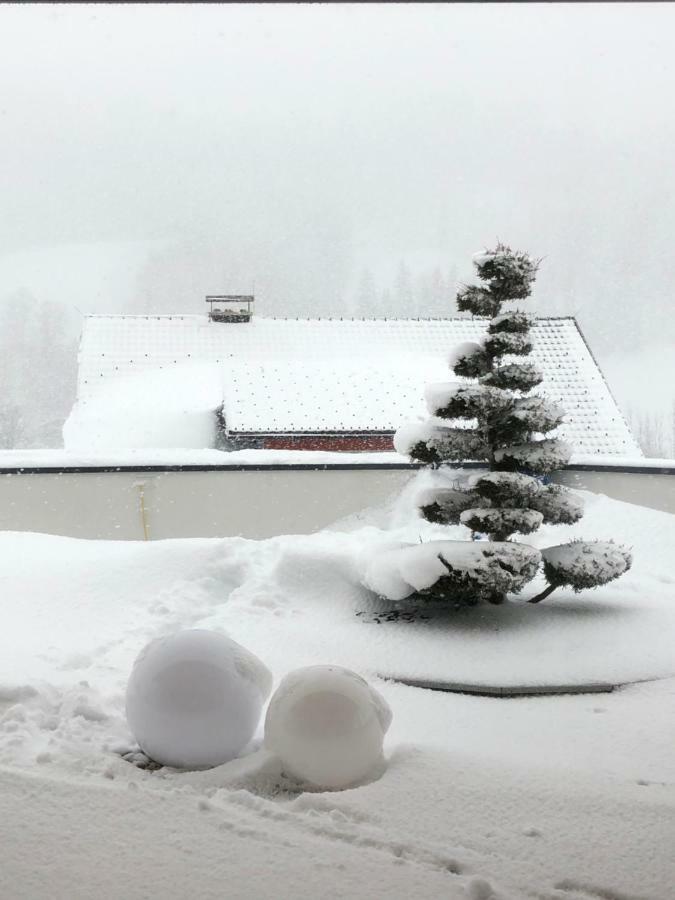 Appartment Sun Chalet Schladming Dış mekan fotoğraf